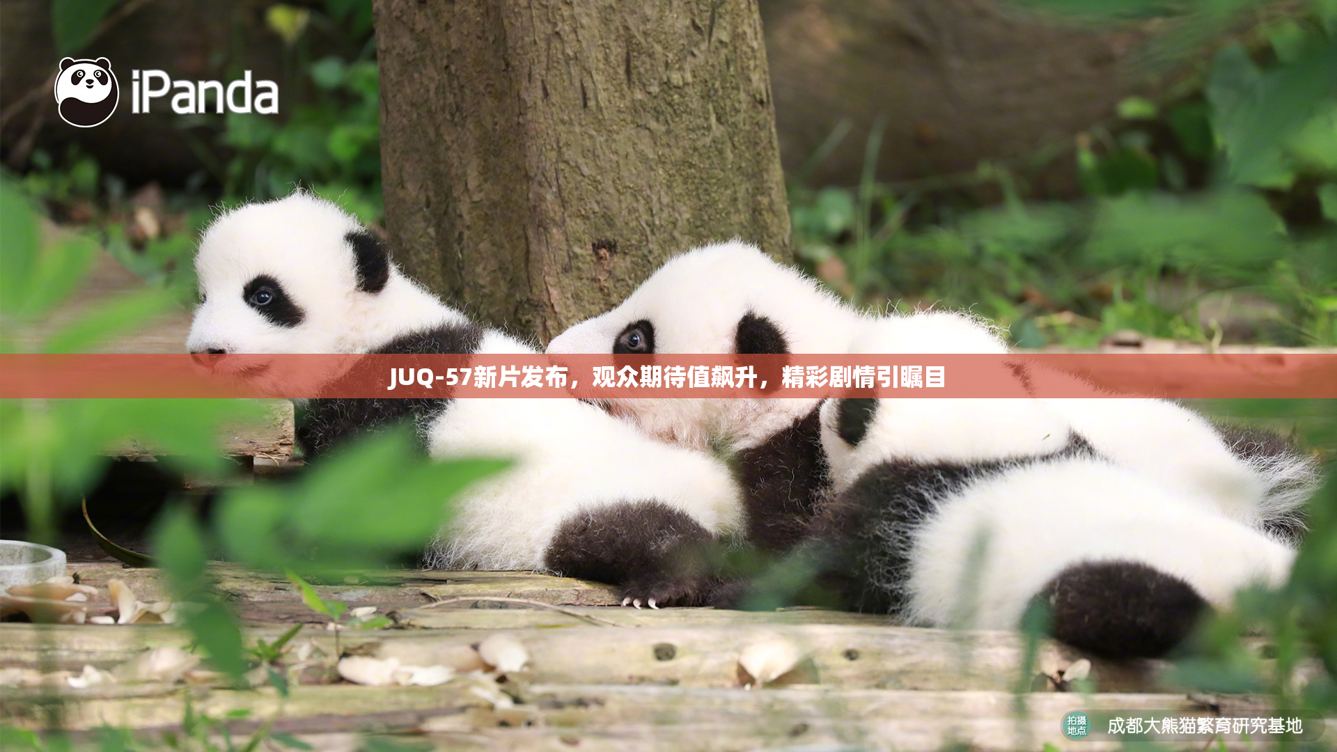 JUQ-57新片发布，观众期待值飙升，精彩剧情引瞩目