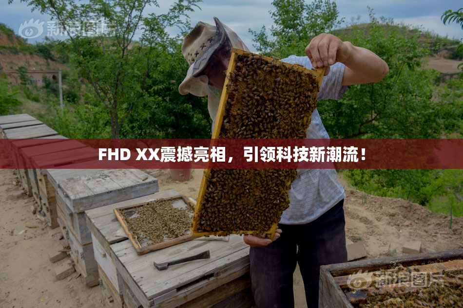 FHD XX震撼亮相，引领科技新潮流！