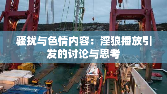 骚扰与色情内容：淫狼播放引发的讨论与思考