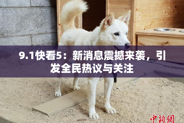 9.1快看5：新消息震撼来袭，引发全民热议与关注