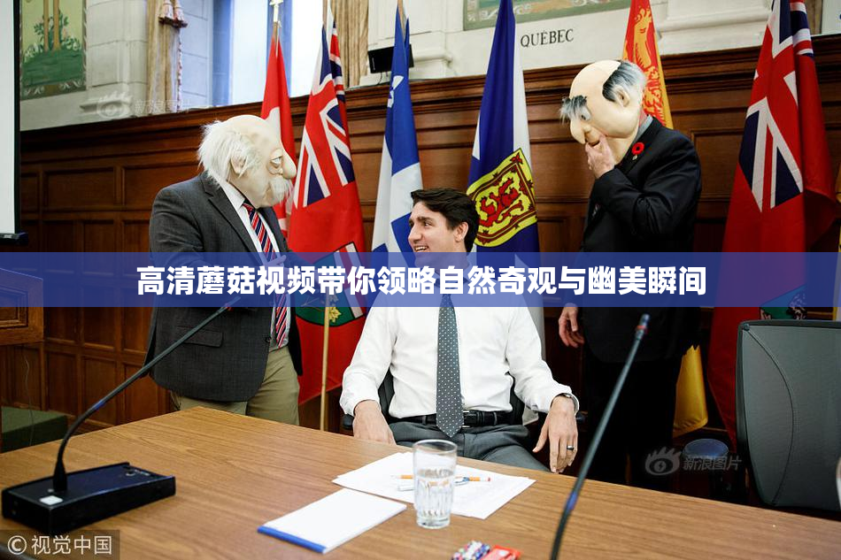 高清蘑菇视频带你领略自然奇观与幽美瞬间