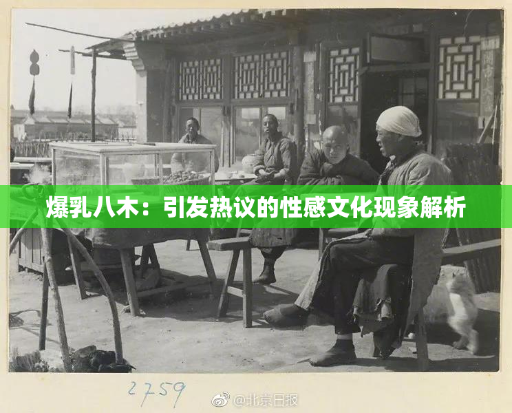 爆乳八木：引发热议的性感文化现象解析