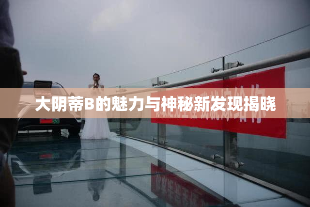 大阴蒂B的魅力与神秘新发现揭晓