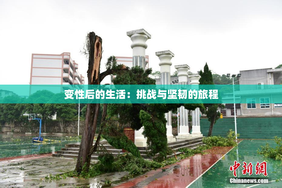 变性后的生活：挑战与坚韧的旅程