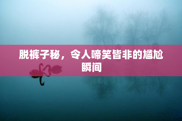 脱裤子秘，令人啼笑皆非的尴尬瞬间