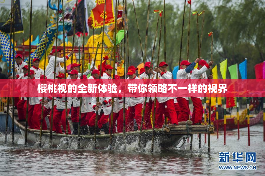 樱桃视的全新体验，带你领略不一样的视界