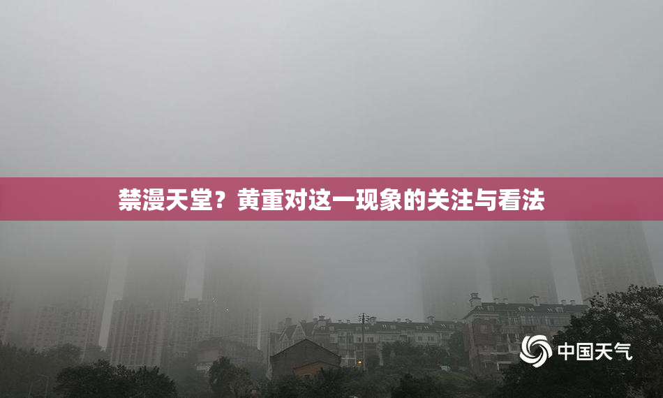 禁漫天堂？黄重对这一现象的关注与看法