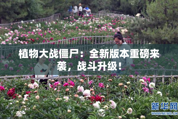 植物大战僵尸：全新版本重磅来袭，战斗升级！