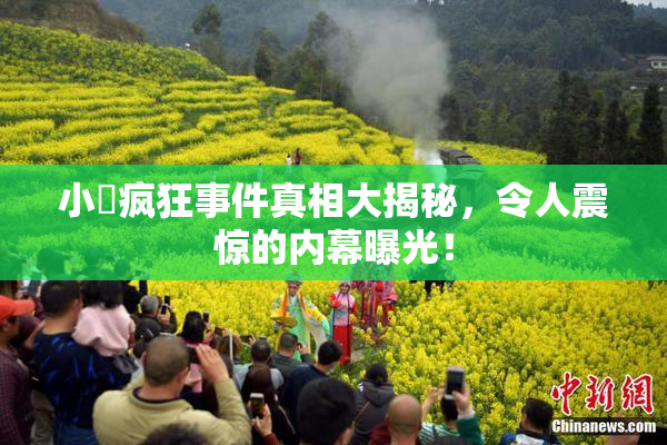小泬疯狂事件真相大揭秘，令人震惊的内幕曝光！