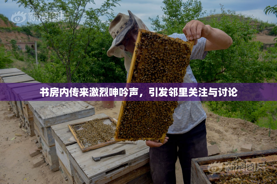 书房内传来激烈呻吟声，引发邻里关注与讨论