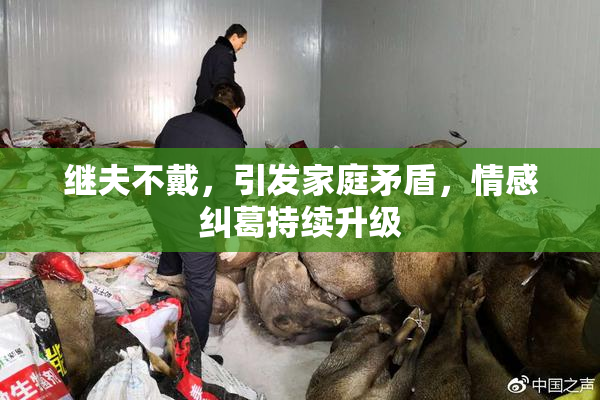 继夫不戴，引发家庭矛盾，情感纠葛持续升级