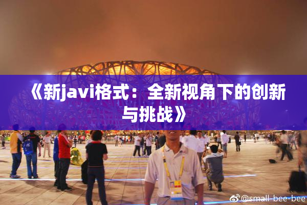 《新javi格式：全新视角下的创新与挑战》