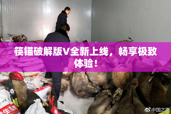 筷锚破解版V全新上线，畅享极致体验！