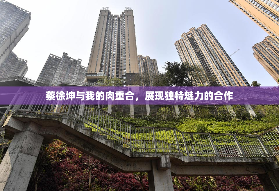 蔡徐坤与我的肉重合，展现独特魅力的合作