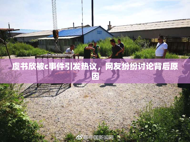 虞书欣被c事件引发热议，网友纷纷讨论背后原因