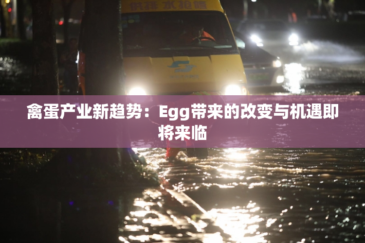 禽蛋产业新趋势：Egg带来的改变与机遇即将来临
