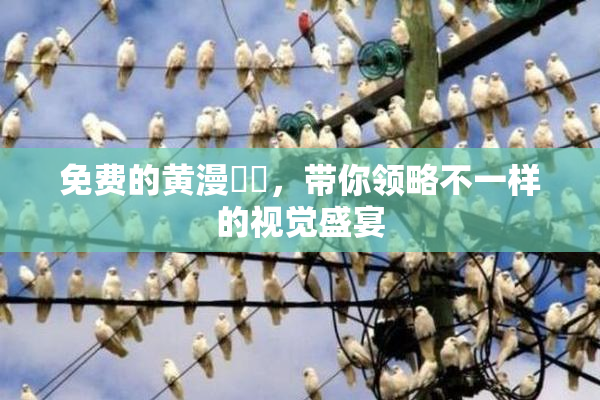 免费的黄漫❌‌，带你领略不一样的视觉盛宴