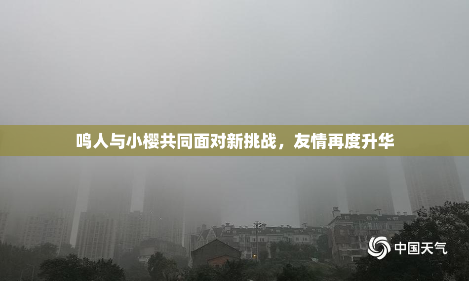 鸣人与小樱共同面对新挑战，友情再度升华
