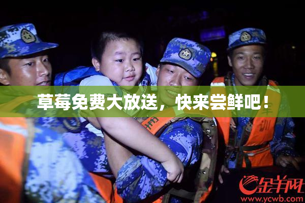 草莓免费大放送，快来尝鲜吧！