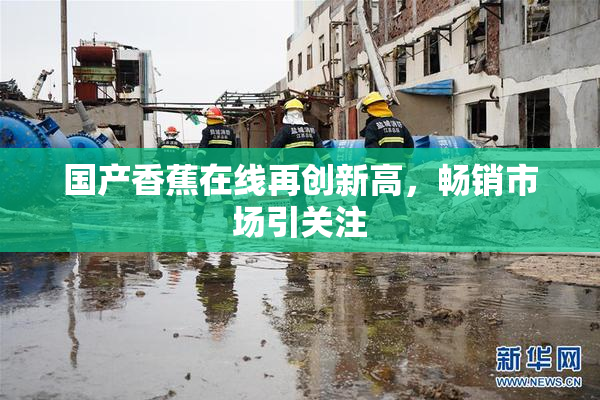 国产香蕉在线再创新高，畅销市场引关注