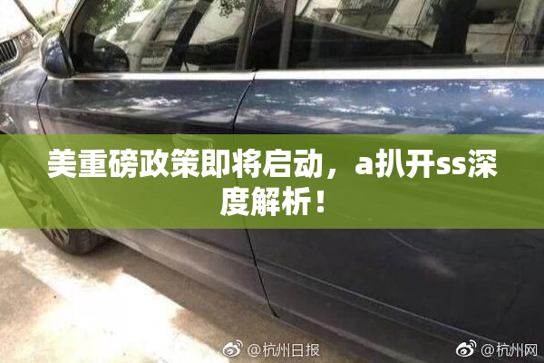 美重磅政策即将启动，a扒开ss深度解析！