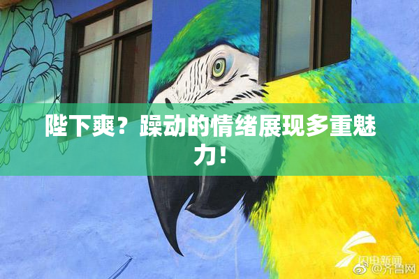 陛下爽？躁动的情绪展现多重魅力！