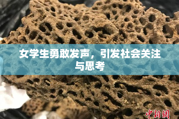 女学生勇敢发声，引发社会关注与思考