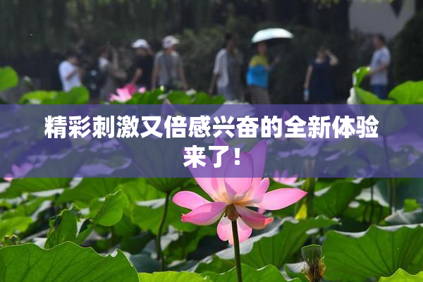 精彩刺激又倍感兴奋的全新体验来了！
