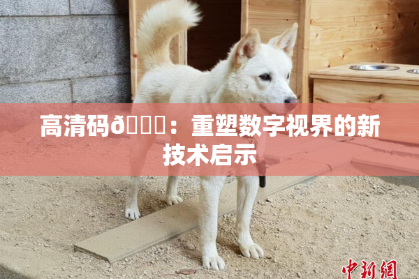 高清码🔞：重塑数字视界的新技术启示