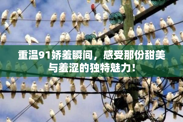重温91娇羞瞬间，感受那份甜美与羞涩的独特魅力！