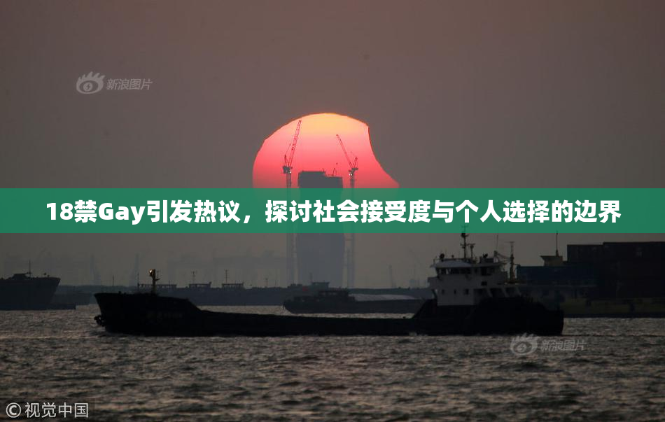 18禁Gay引发热议，探讨社会接受度与个人选择的边界