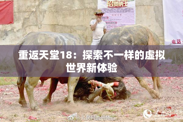 重返天堂18：探索不一样的虚拟世界新体验