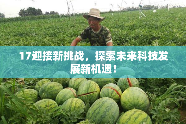 17迎接新挑战，探索未来科技发展新机遇！