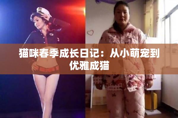 猫咪春季成长日记：从小萌宠到优雅成猫