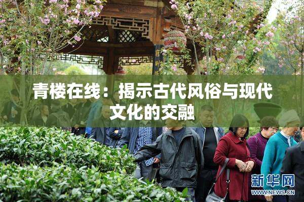 青楼在线：揭示古代风俗与现代文化的交融
