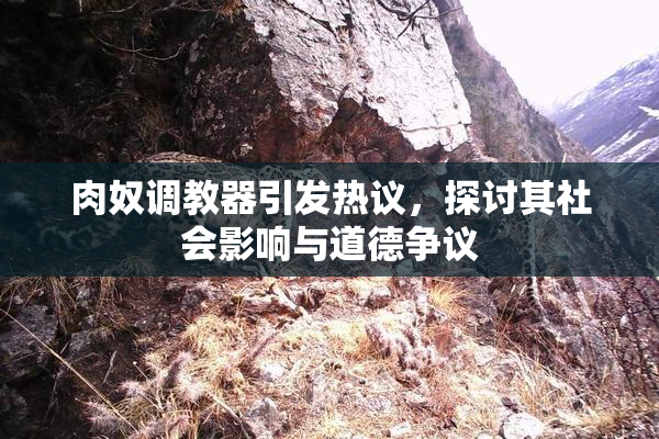 肉奴调教器引发热议，探讨其社会影响与道德争议