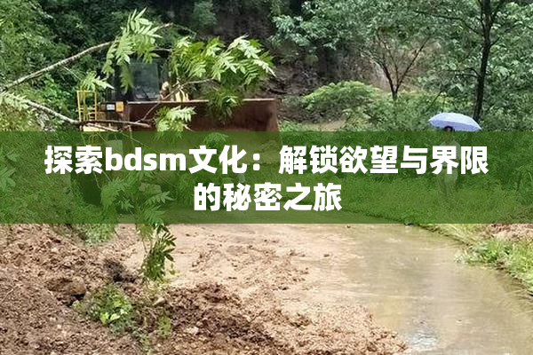 探索bdsm文化：解锁欲望与界限的秘密之旅