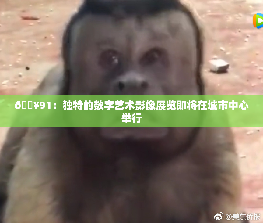 🔥91：独特的数字艺术影像展览即将在城市中心举行