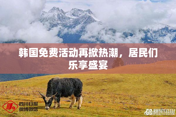 韩国免费活动再掀热潮，居民们乐享盛宴