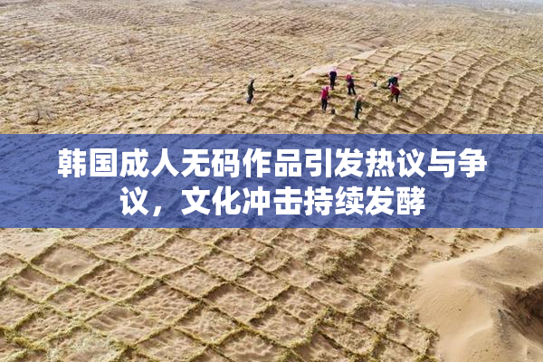 韩国成人无码作品引发热议与争议，文化冲击持续发酵
