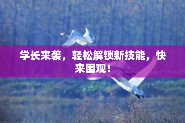 学长来袭，轻松解锁新技能，快来围观！