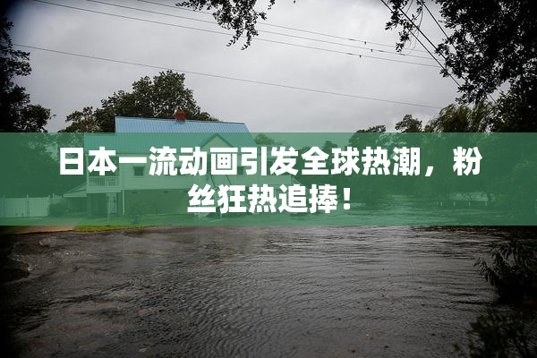 日本一流动画引发全球热潮，粉丝狂热追捧！
