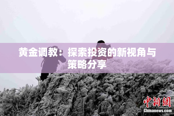 黄金调教：探索投资的新视角与策略分享