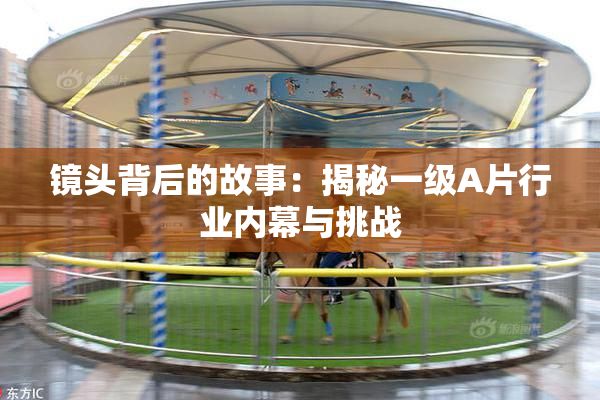 镜头背后的故事：揭秘一级A片行业内幕与挑战