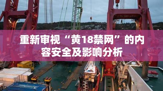 重新审视“黄18禁网”的内容安全及影响分析