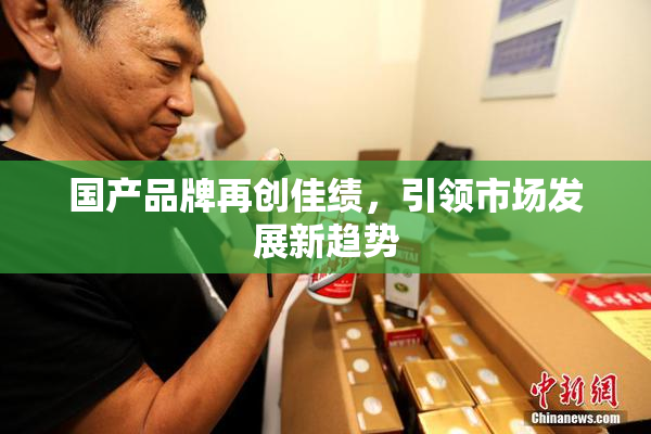 国产品牌再创佳绩，引领市场发展新趋势
