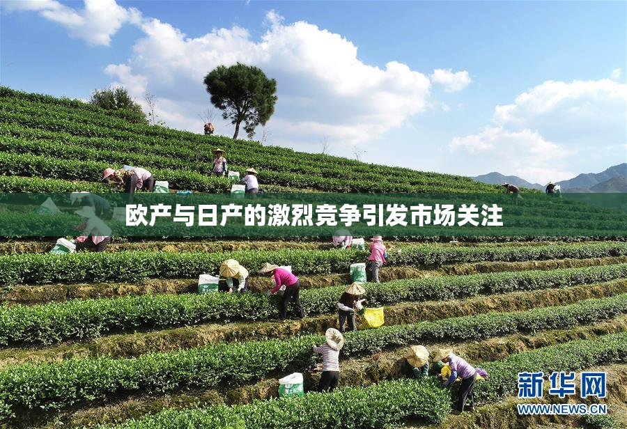 欧产与日产的激烈竞争引发市场关注
