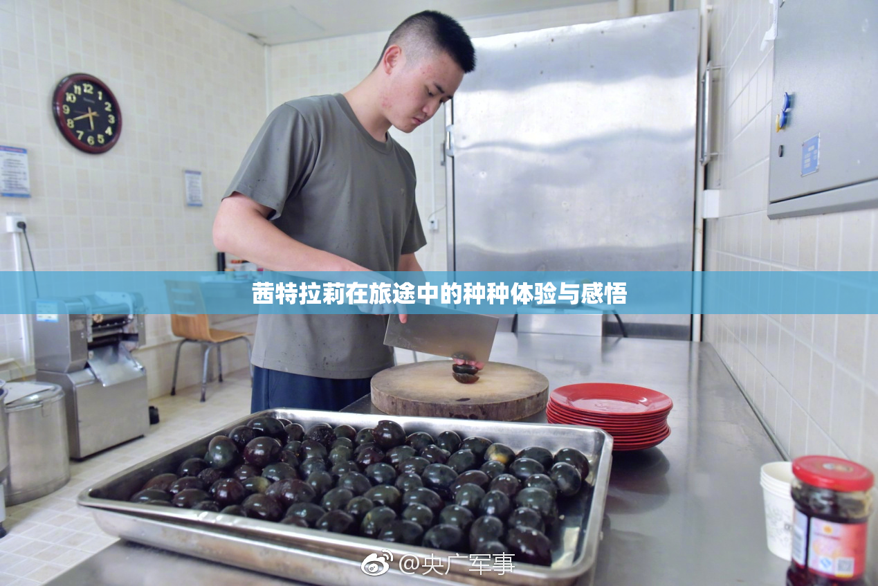 茜特拉莉在旅途中的种种体验与感悟