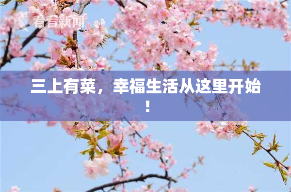 三上有菜，幸福生活从这里开始！