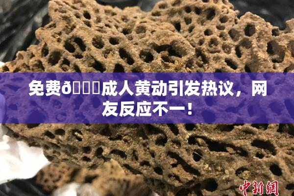 免费🔞成人黄动引发热议，网友反应不一！